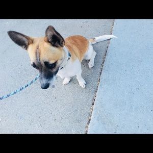 Meet your Posher, Jacqueline